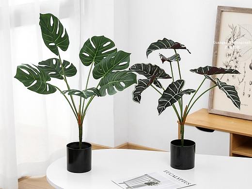 假花仿真绿植拍摄