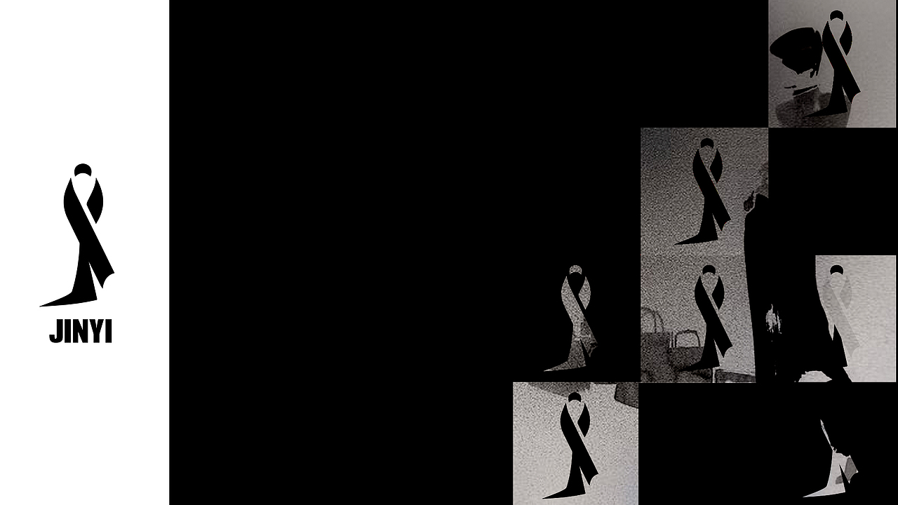 品牌设计-- JINYI女装(图ZMTk5MDIyODk2) - 品牌 - 站酷设计师野生社长Robin原创素材 - 站酷ZCOOL