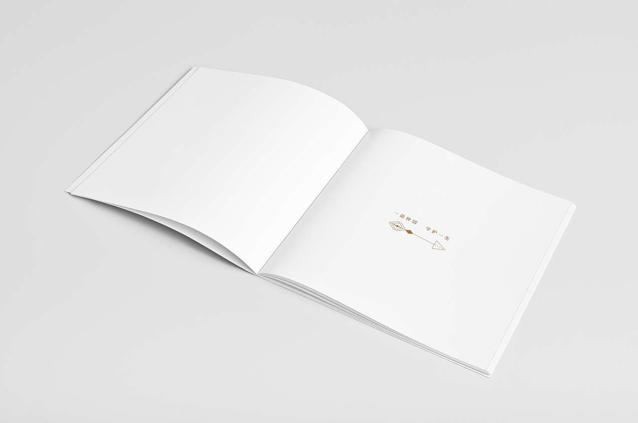 珠宝新品/LOGO/海报/画册（图ZMTQ4MDY5OTY0） - 品牌 - 站酷设计师悦白原创素材 - 站酷ZCOOL