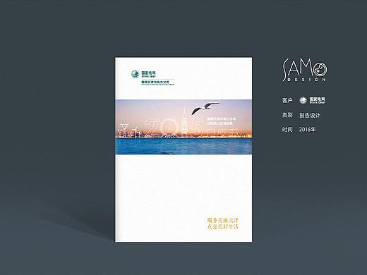2015天津电力白皮书