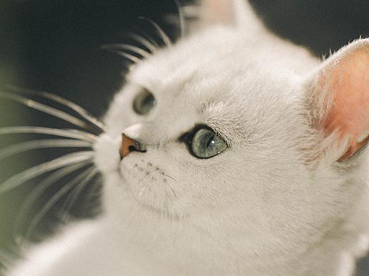 “妞”的大头照