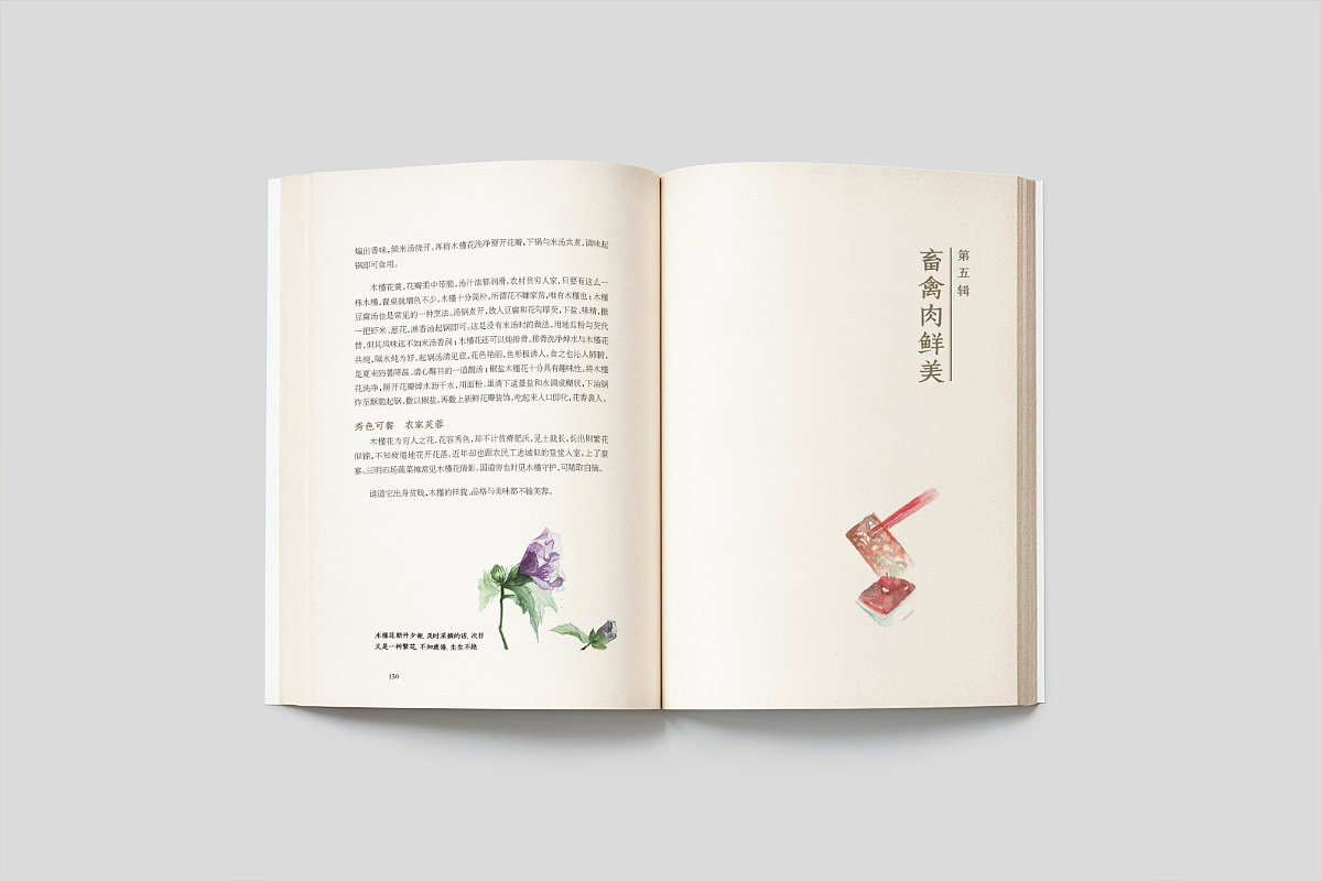 馋嘴品三明-美食书籍-源艺设计（图ZOTkxNjcyNjA=） - 书籍/画册 - 站酷设计师郑源华原创素材 - 站酷ZCOOL