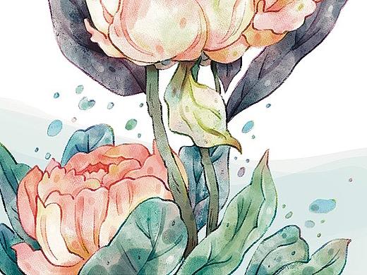 #my CLARINS 尋找天然肌# 含苞盛放（個人主頁-ZNTg1ODE4MTY=） - 商業(yè)插畫 - 站酷設(shè)計(jì)師Flankie原創(chuàng)素材 - 站酷ZCOOL