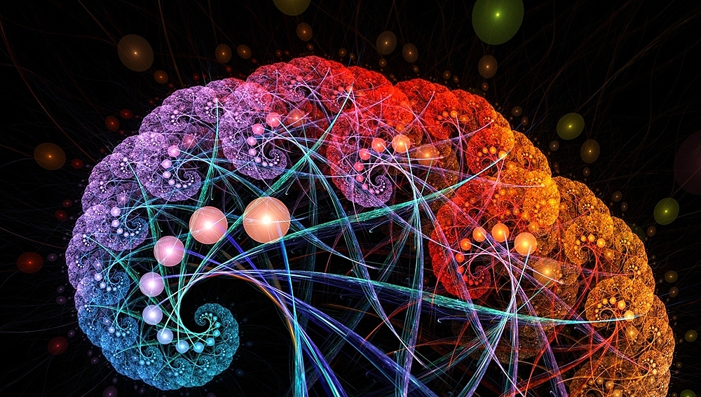 分形(Fractal)三十六辑: 花-叶-树（图ZNjU2NTg3MjQ=） - 绘画 - 站酷设计师阳光与青稞原创素材 - 站酷ZCOOL