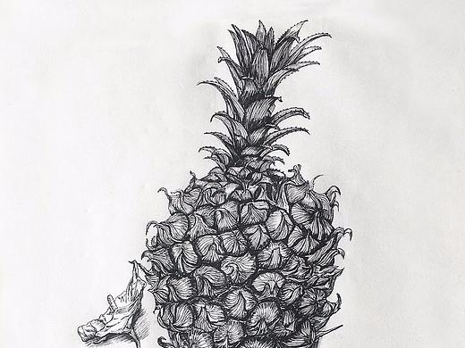 菠萝与白掌