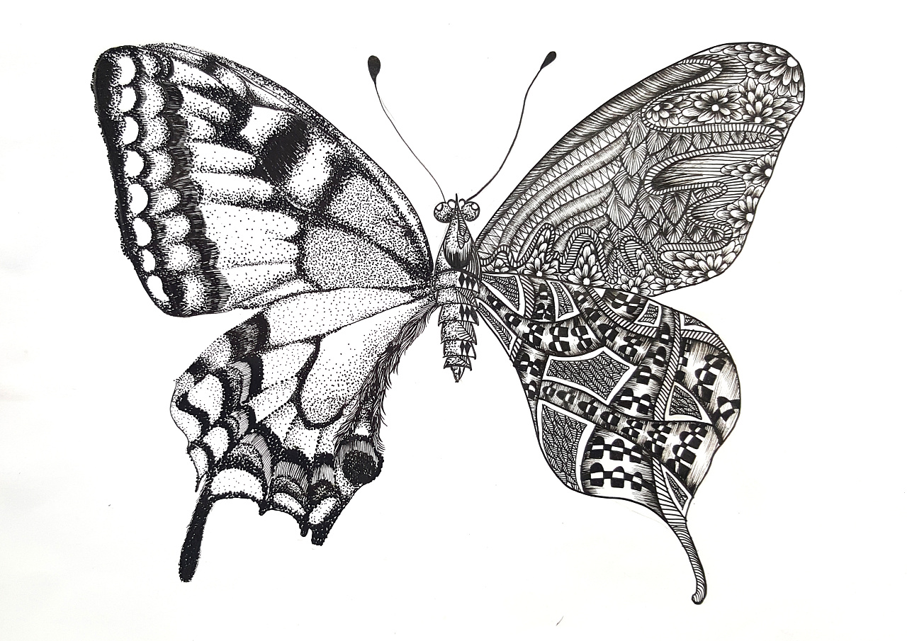 黑白装饰画 插画