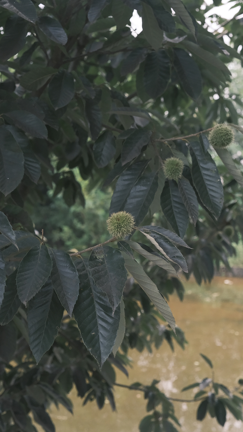 大自然之乡里（图ZMzQ5OTI0OTAw） - 人文/纪实摄影 - 站酷设计师何大抖原创素材 - 站酷ZCOOL