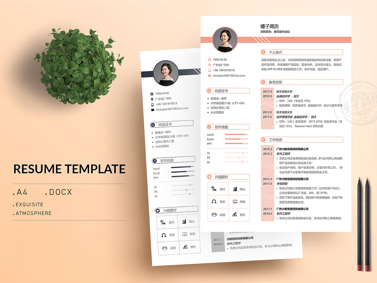 精美通用简历模板