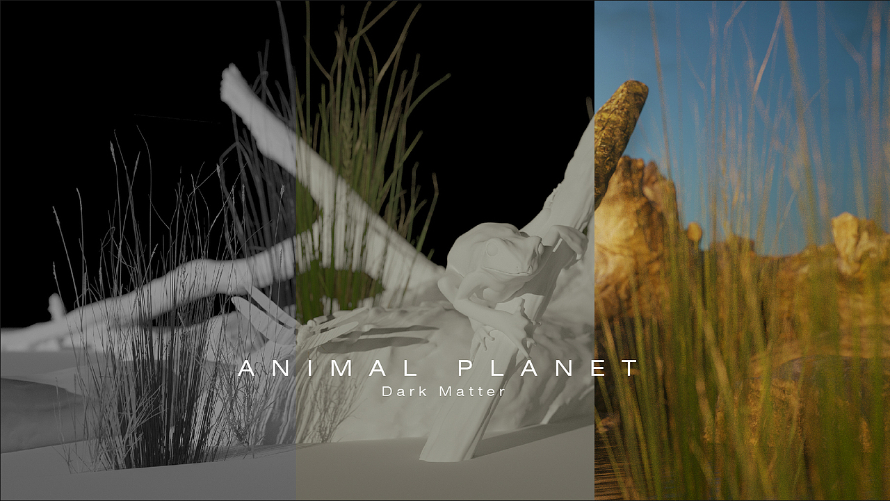 ANIMAL PLANET | 动物星球 爬行类动物近景两组