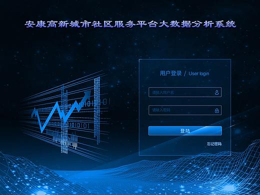 大数据分析系统