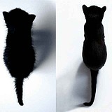 Linyong3d的头像