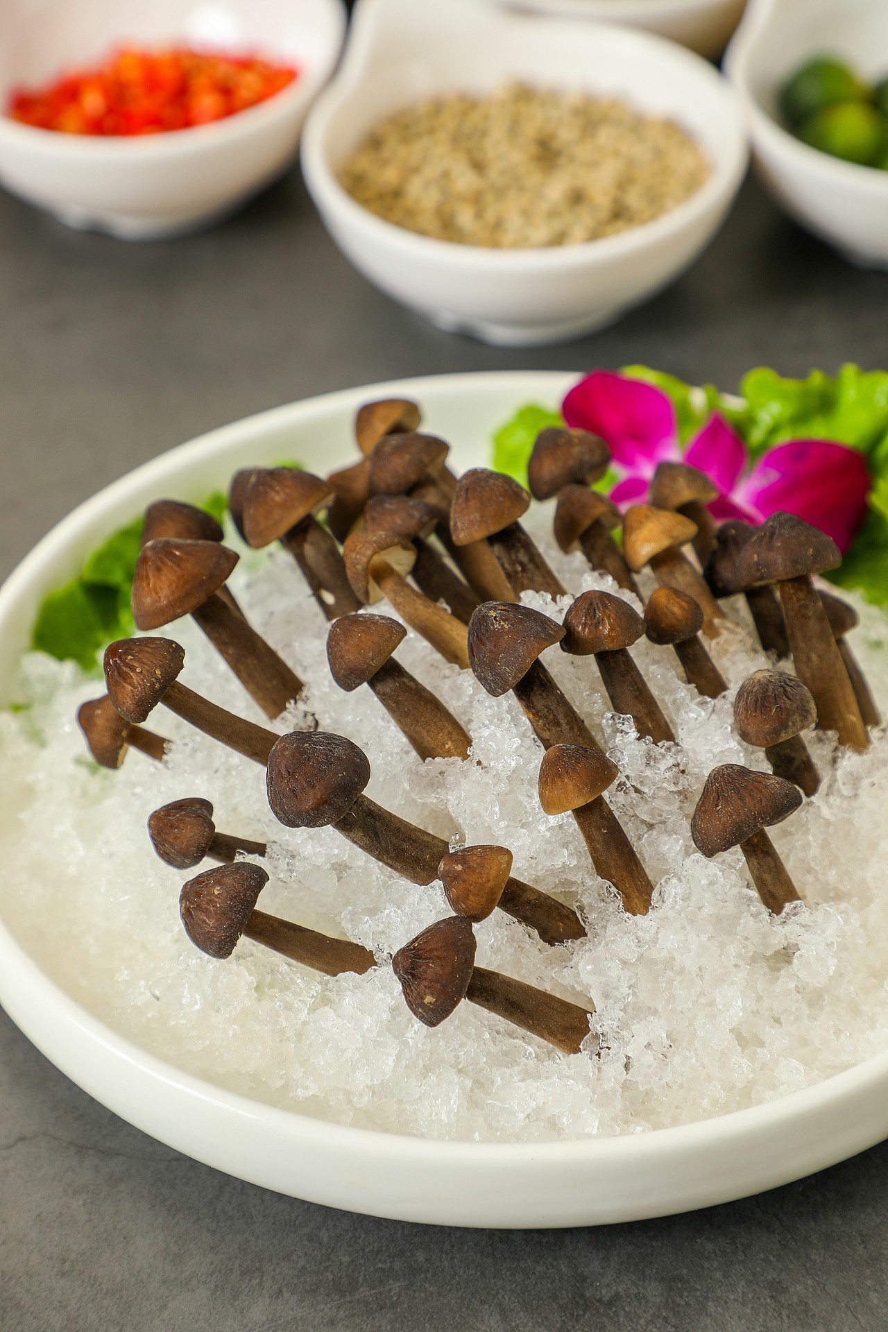 美食摄影丨喜煲猪肚鸡（图ZMjM4ODUzNjI0） - 产品摄影 - 站酷设计师伟世李原创素材 - 站酷ZCOOL