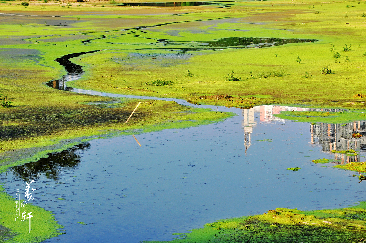 水塘印象(上) - 原创作品 - 站酷(zcool)