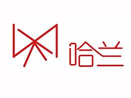 VIS 手册