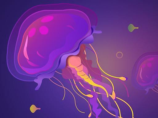 海洋生物插画