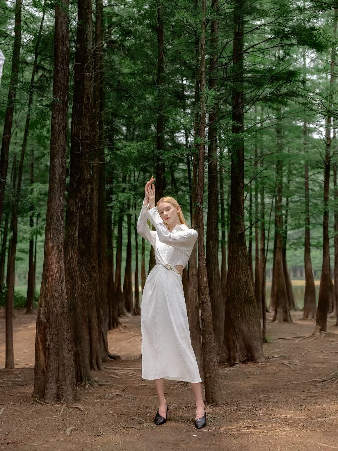 夏日☀️拍摄｜广州里的天然落羽杉🌲🌲