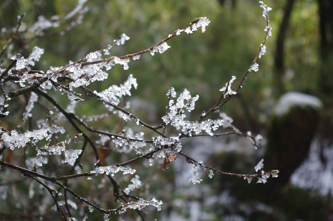 光与海，冰与雾（图ZNzI3MDgyNzY=） - 风光摄影 - 站酷设计师suki1011原创素材 - 站酷ZCOOL