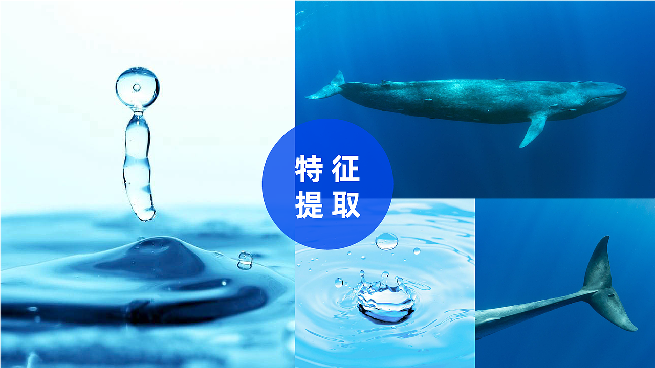 太平洋保险IP形象设计大赛洋仔和滴仔