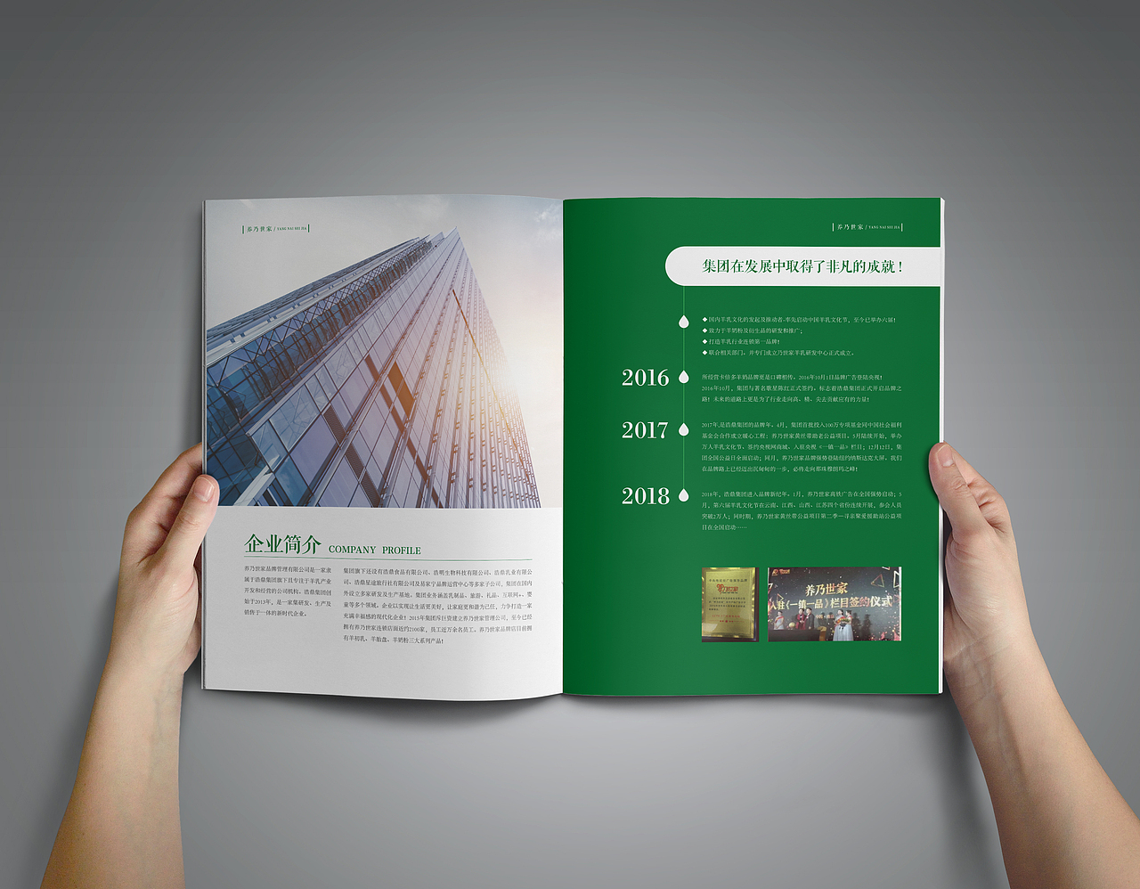 养乃世家画册设计