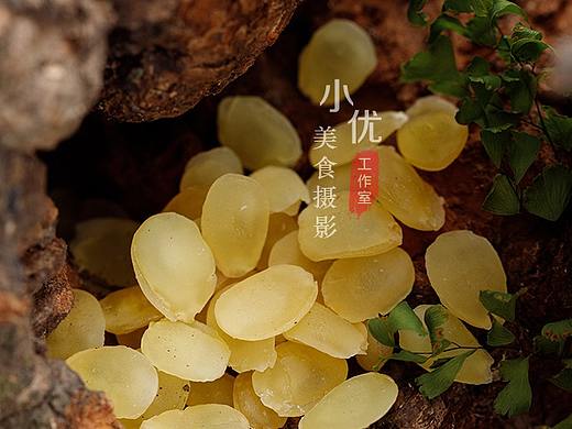 静物美食摄影 皂角米 雪莲子 复古