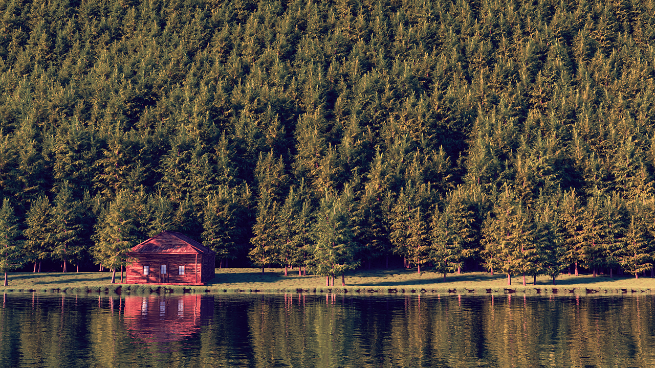 Plants, hope and light（图ZMjM2MjI2MjA0） - 场景 - 站酷设计师JIFEN_几分原创素材 - 站酷ZCOOL