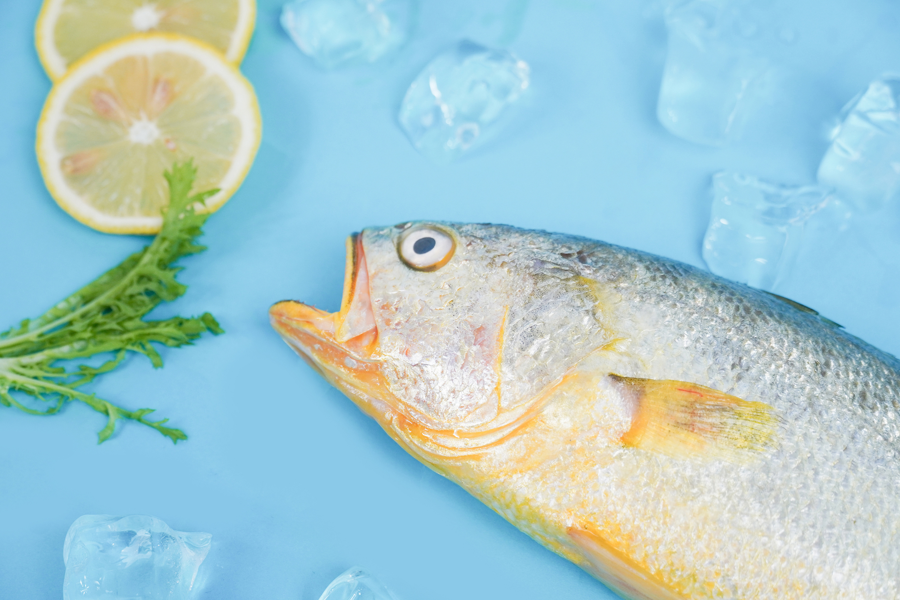 大黄鱼电商拍摄