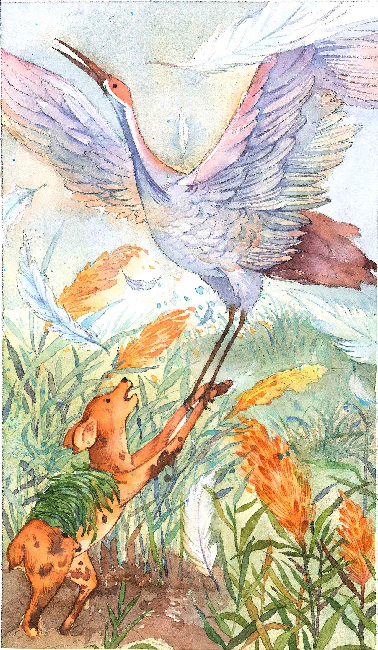 小鹿口干舌燥,嗓子里像吞着火球,它多想喝口水呀!沙沙沙,风吹绿叶响,前边一片苇丛林,小鹿奔过去,想在苇塘里喝口水,可苇丛里没有水,只有陷脚的烂泥。小鹿嚼了几条芦根润润嗓子,可小蹄子给黏泥拖住,拔不出脚来了。