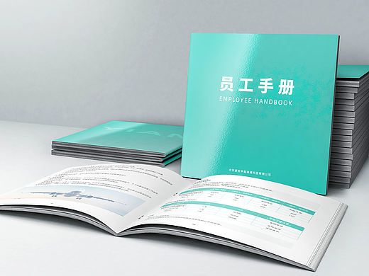 员工手册（意安）