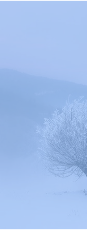 fhon的个人主页（背景预览） - 主页背景设置 - 站酷设计师fhon原创素材 - 站酷ZCOOL