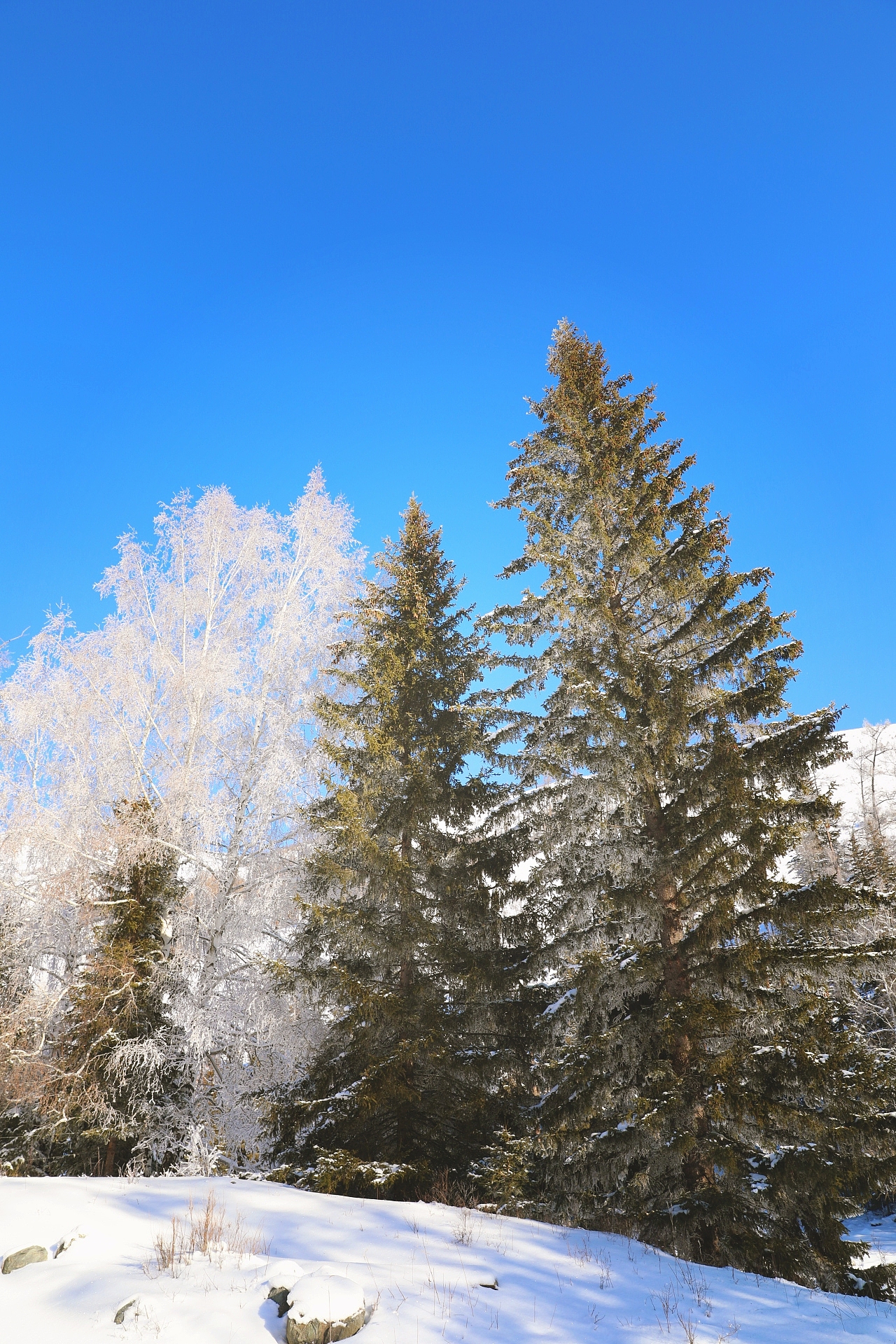 禾木—神的自留地