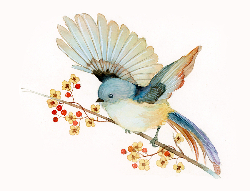 小鸟~（图ZMTY1NzYyMDQ0） - 商业插画 - 站酷设计师瑶背背原创素材 - 站酷ZCOOL