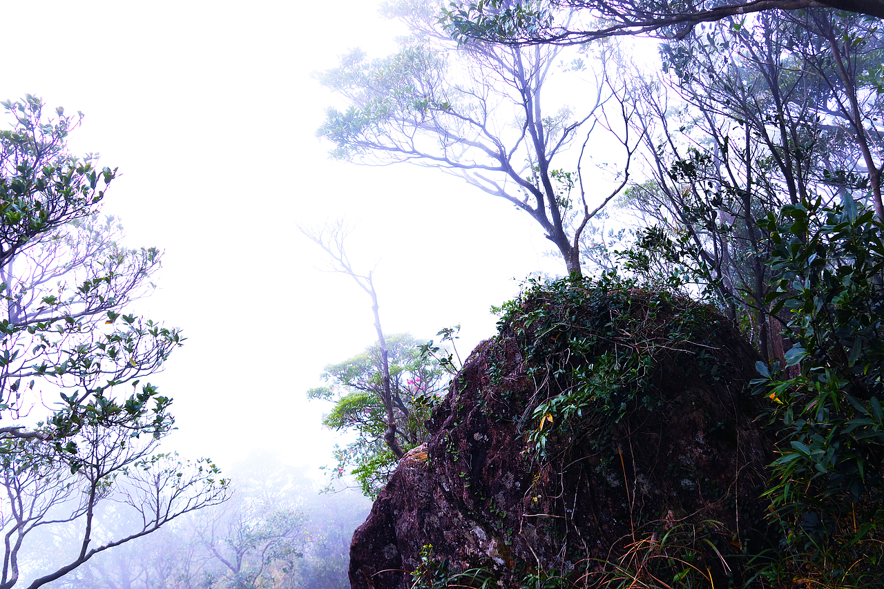 东莞最高峰(银瓶山)