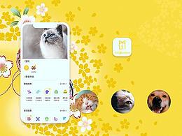 小古猫宠物app