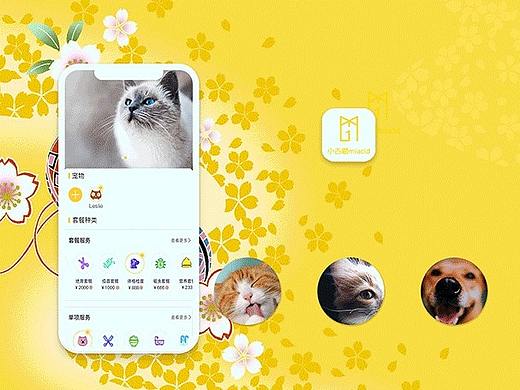 小古猫宠物app