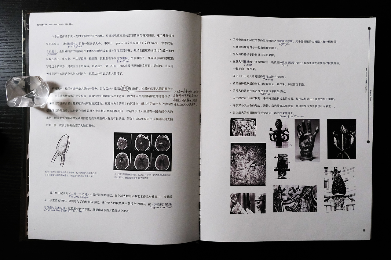 「松果启示录」书籍装帧设计 | 节选自《源场》（图ZMjQ3NDU5ODQw） - 书籍/画册 - 站酷设计师龍柏原创素材 - 站酷ZCOOL