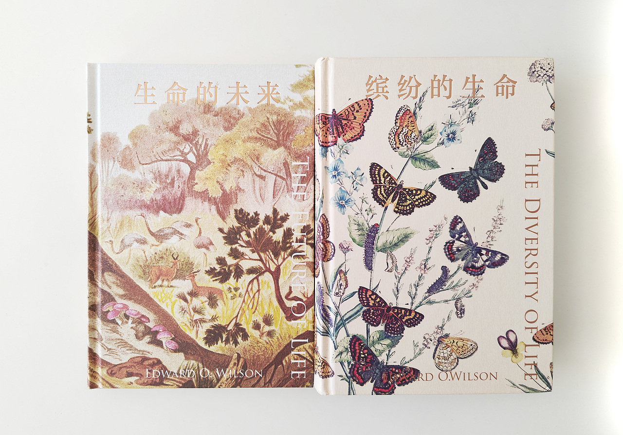 吾然设计——博物&生命（图ZMjc1NTUzNzg0） - 其他 - 站酷设计师吾然设计原创素材 - 站酷ZCOOL