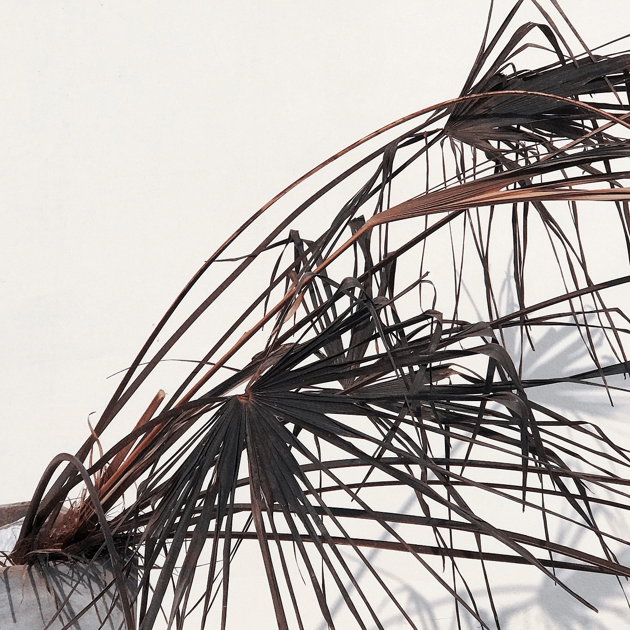 光影（图ZMjQwMTMwNjQ4） - 风光摄影 - 站酷设计师了一琳子原创素材 - 站酷ZCOOL