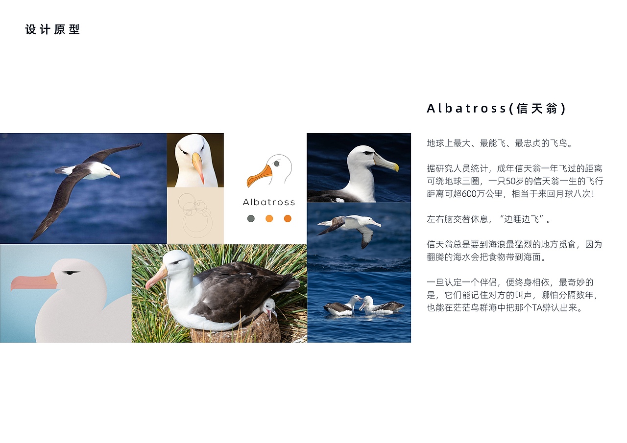 IP设计-信仔（图ZMjcxMTM1OTg0） - IP形象 - 站酷设计师不是猫Notcat原创素材 - 站酷ZCOOL