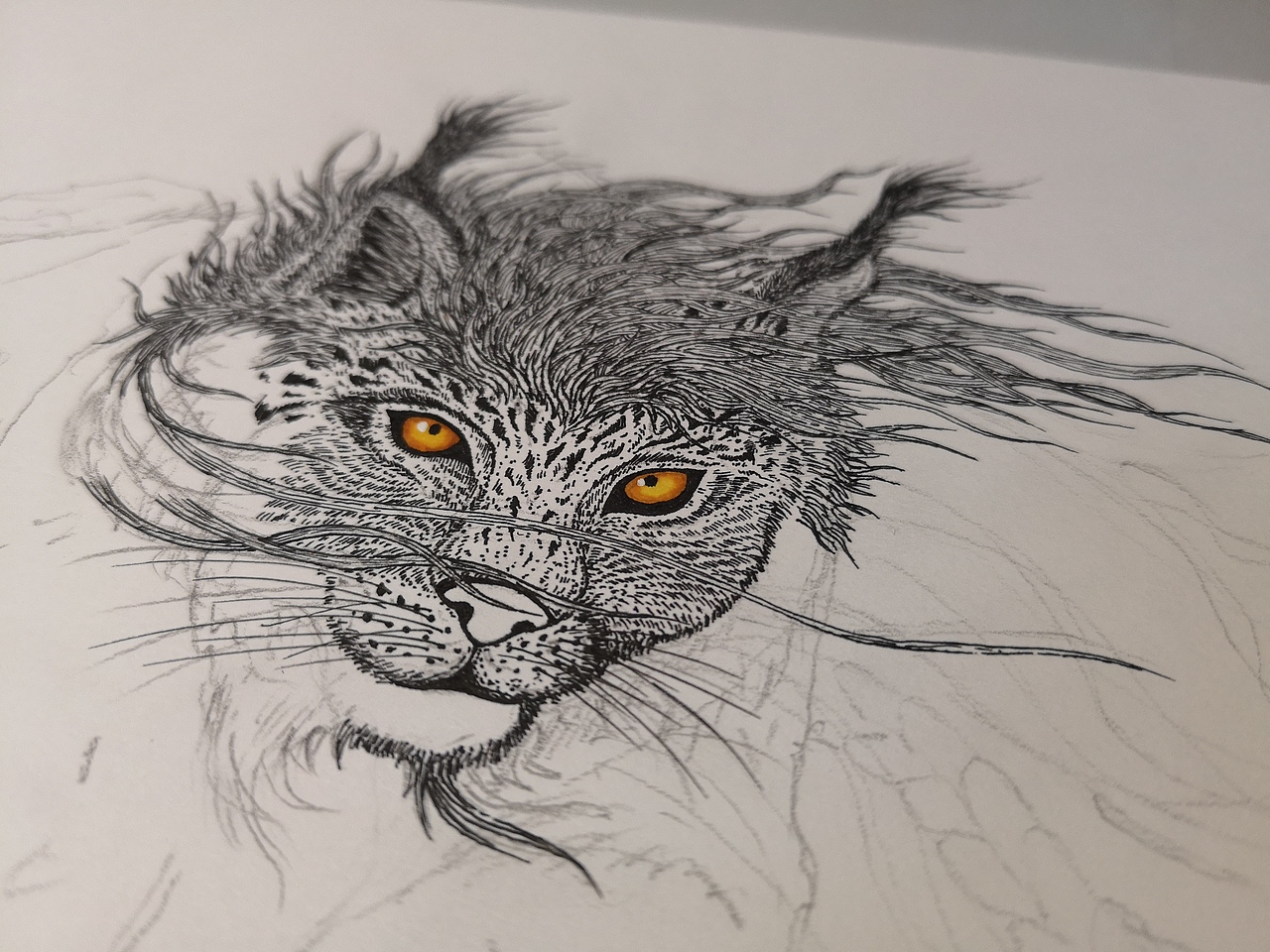 2019.07.23-毣柞山海-亶爰山-类（图ZMTY4NTMxMjI4） - 创作习作 - 站酷设计师毣余原创素材 - 站酷ZCOOL