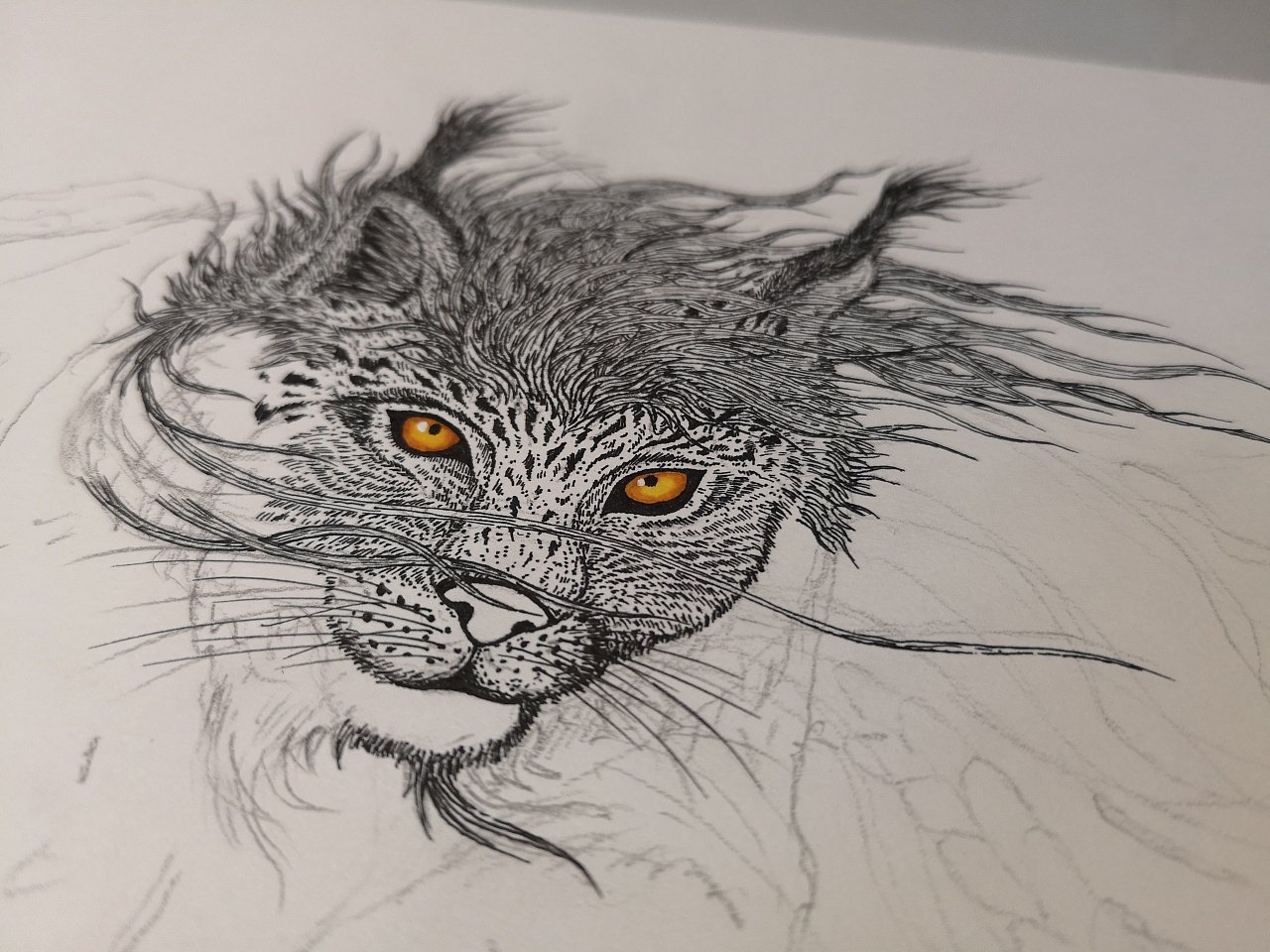 20190723毣柞山海亶爰山类