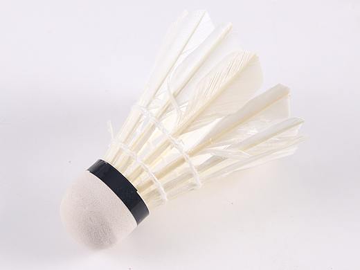B04运动用品\C01-球类\V01白色羽毛球