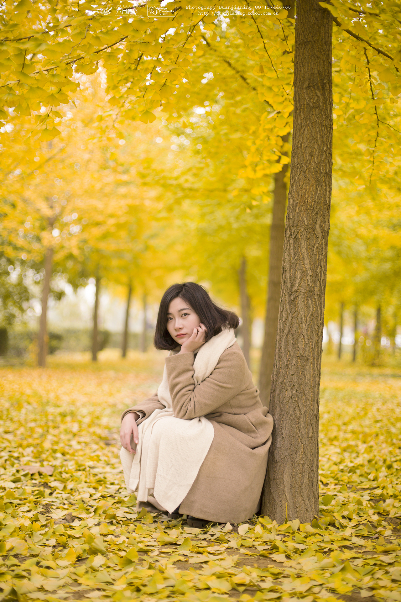 银杏（图ZMzY2NzYyODg=） - 人像摄影 - 站酷设计师段老法师原创素材 - 站酷ZCOOL