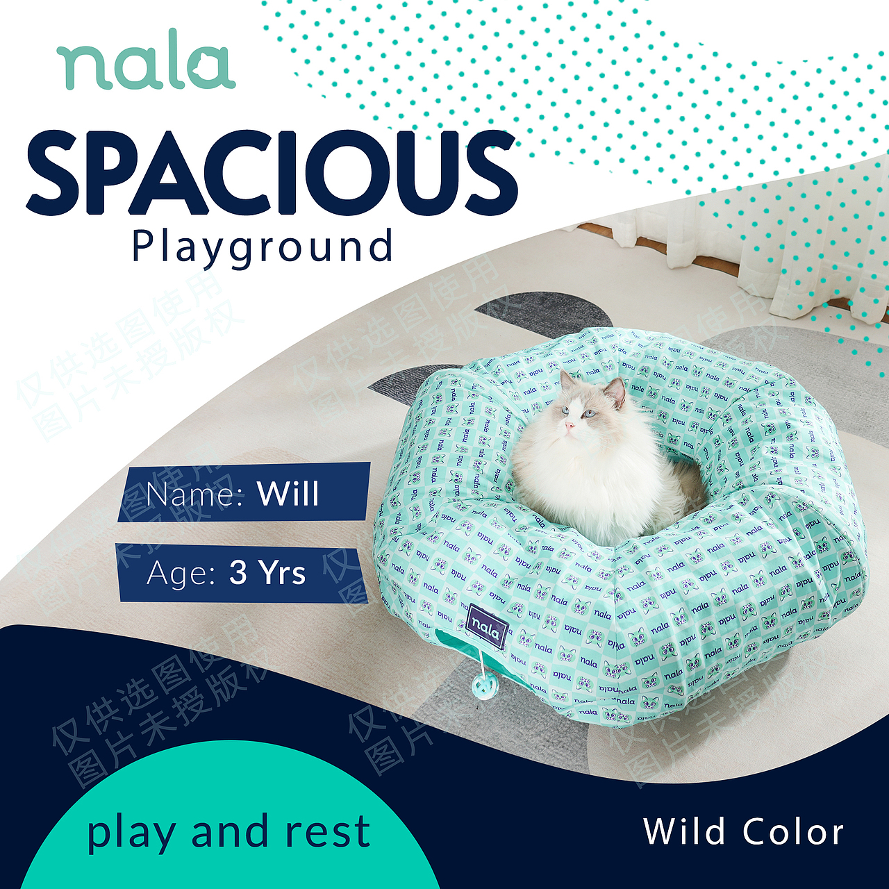 猫窝宠物蛋壳拍摄静物拼多多亚马逊广告摄影视频拍摄制