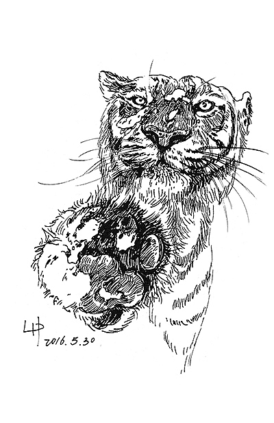 嘿,镜头别乱拍!