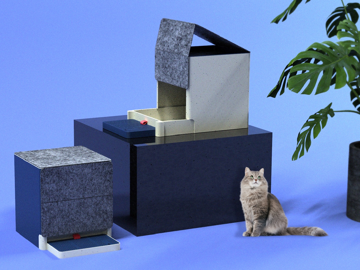 猫咪产品
