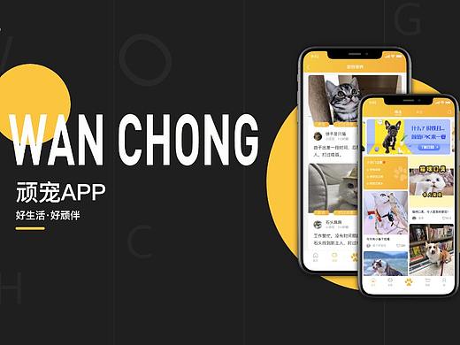 顽宠-宠物社交APP