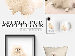 宠物周边｜宠物插画