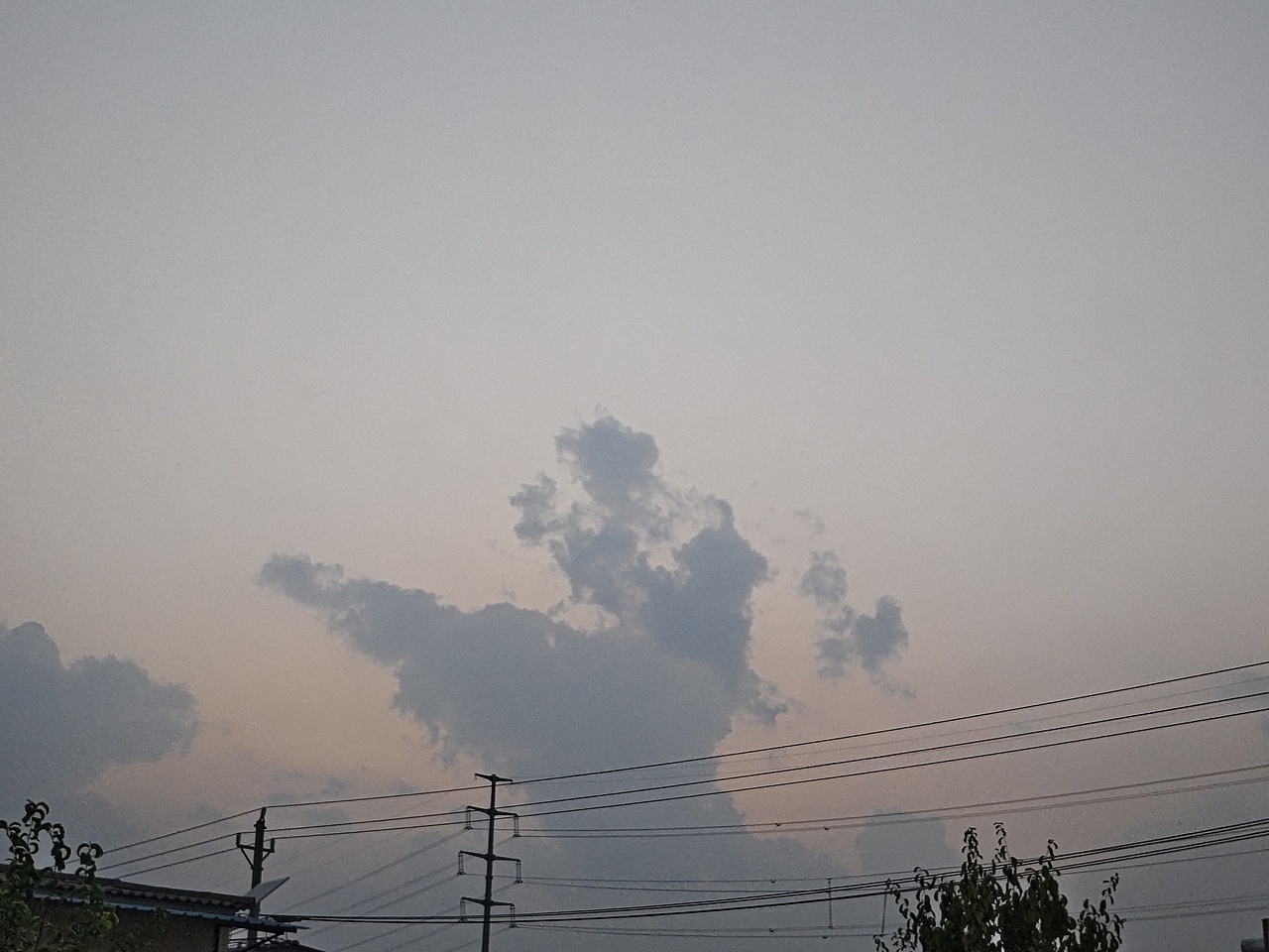 孤寂又喧嚣的人间