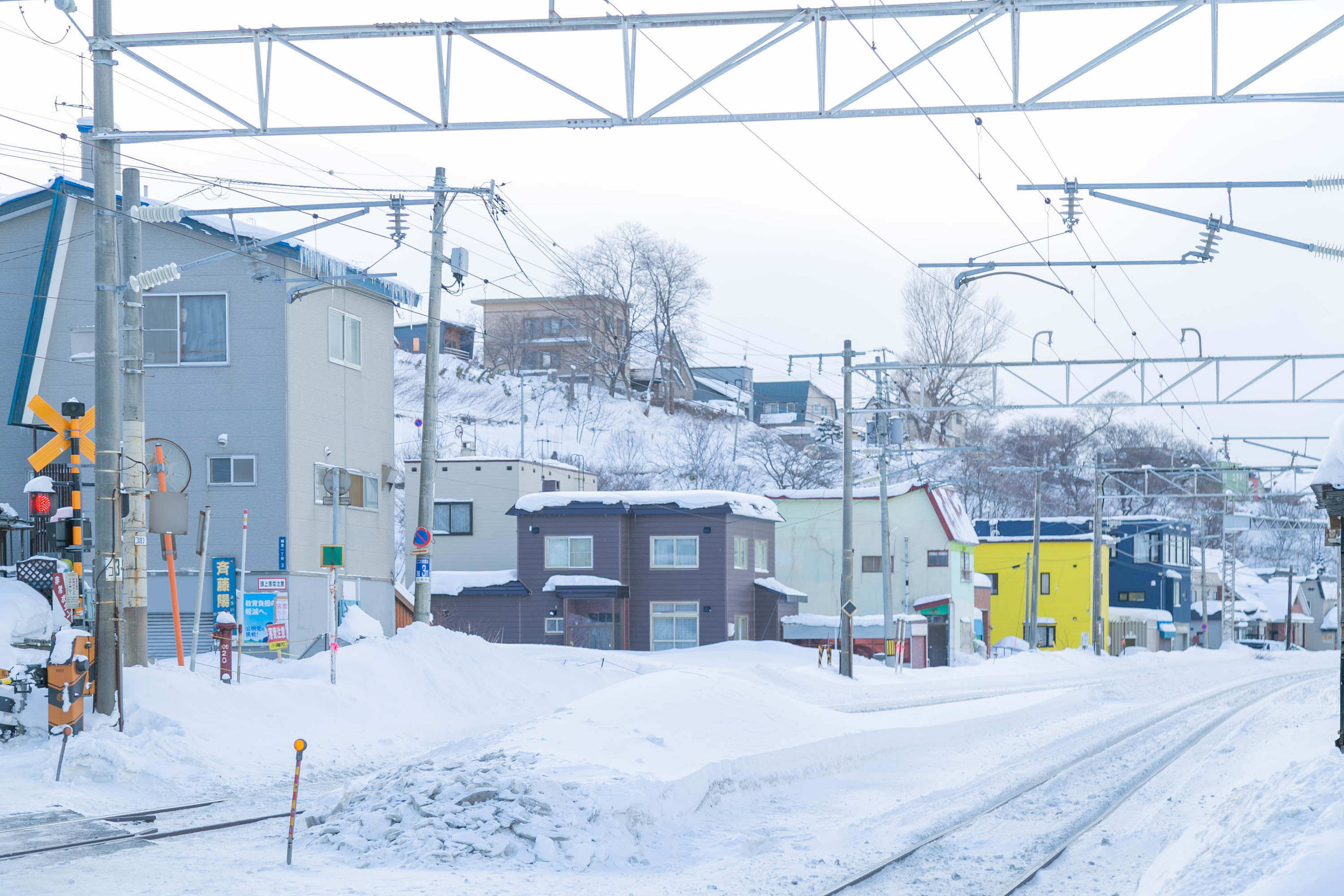 冬季去北海道玩有哪些极具特色的东西可以体验？ - 知乎
