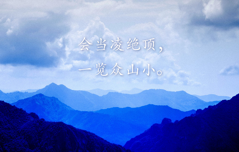 凌顶世纪(PurBest)科技品牌设计